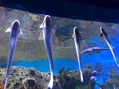 -多彩贵州城极地海洋世界