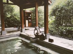 -天目湖御水温泉·度假酒店