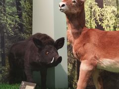 -房山世界地质公园博物馆