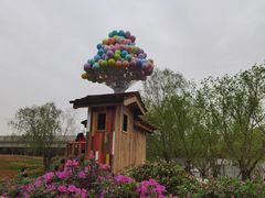 -秀丽东方
