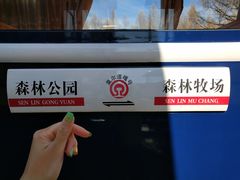 -莫尔道嘎国家森林公园