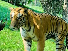 -北京野生动物园