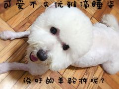 -地中海传奇水汇