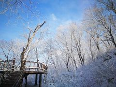 -中旅松花湖滑雪场