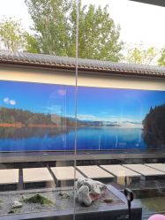 -爱儿美儿童摄影(朝阳公园店)