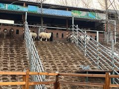 -北京鹿世界主题园