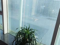 -金陵图书馆