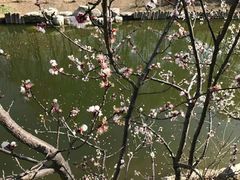 -大兴滨河森林公园