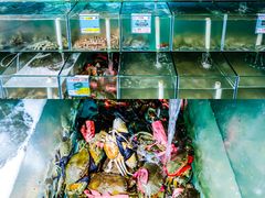 -琼大师东方烤乳猪(亚特兰蒂斯店)