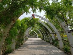 -天津东丽湖风景区