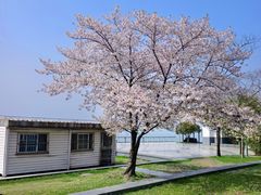 -蠡湖大桥公园