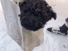 -藏猫猫咖啡主题馆(中央大道店)