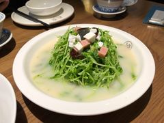 上汤豆苗-首秀·四川料理(星耀101店)