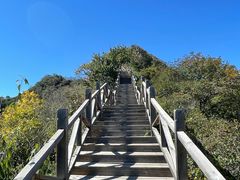 -大岭沟猕猴桃谷风景区
