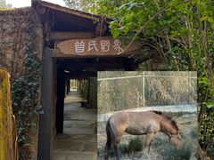 -宁波野生动物园