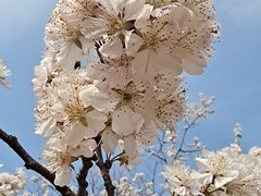 -渤公岛生态公园