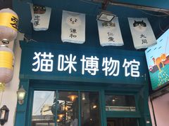 -猫咪博物馆(顶澳仔猫街店)