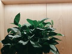 -和记小菜(名品店)