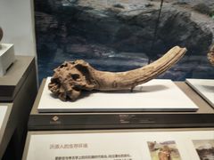 -齐文化博物馆