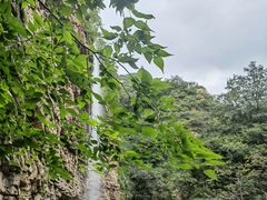 -湖洞水自然风景区