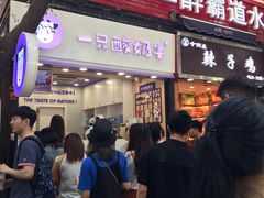 -一只酸奶牛(八一路店)