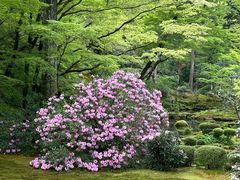 -三千院