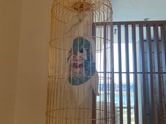 -姜君·千岛湖鱼头馆(浦东大道店)