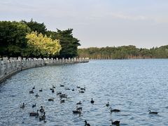 -海珠湖公园