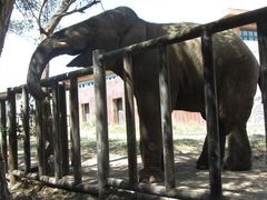 -新疆天山野生动物园