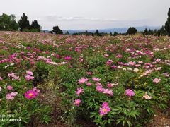 -金堂县云顶石城风景区