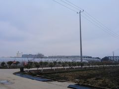 -喜杨洋草莓采摘园