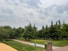 -石家庄市植物园