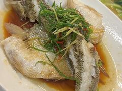 -利杨记·本味轩粥坊·烧烤(宝体店)