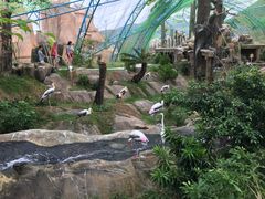 -芽庄珍珠岛游乐园