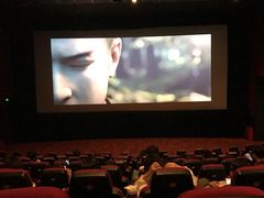 -AMG海上明珠影城(上海环球港RealDCinema店)
