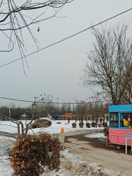-优沃得自然教育农场·冰雪乐园·生日会·研学