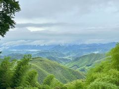 -莫干山风景区