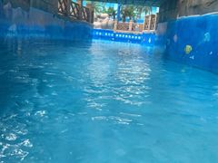 -青岛东方影都融创水世界