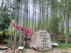 -明月山风景名胜区