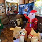 🎄过圣诞真的墙推你们来这里！！