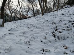 -紫金山山顶公园