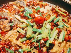 -老板恋上鱼(高新万达店)