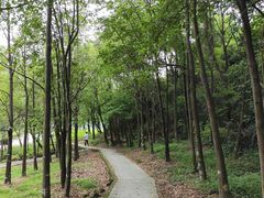 -中山市树木园