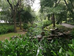 -陈家山荷花公园