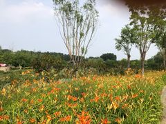 -东郊湿地公园