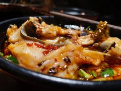 -三道苗苗鱼·美蛙黄辣丁(八里店)