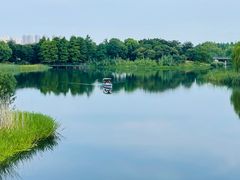 -尚贤河湿地