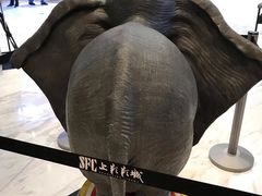-SFC上影影城(港汇永华IMAX激光店)