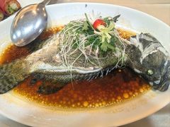 -益健美食大广场(北岭店)