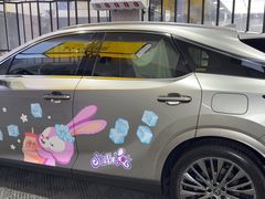 -天猫养车贴膜轻改·蓝电(优匹康桥东路店)